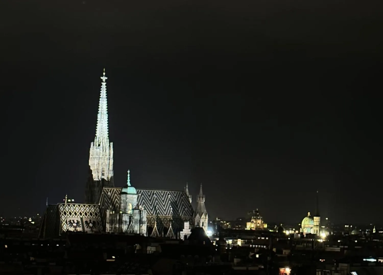 Center Apartment With 360° Rooftop Vienna